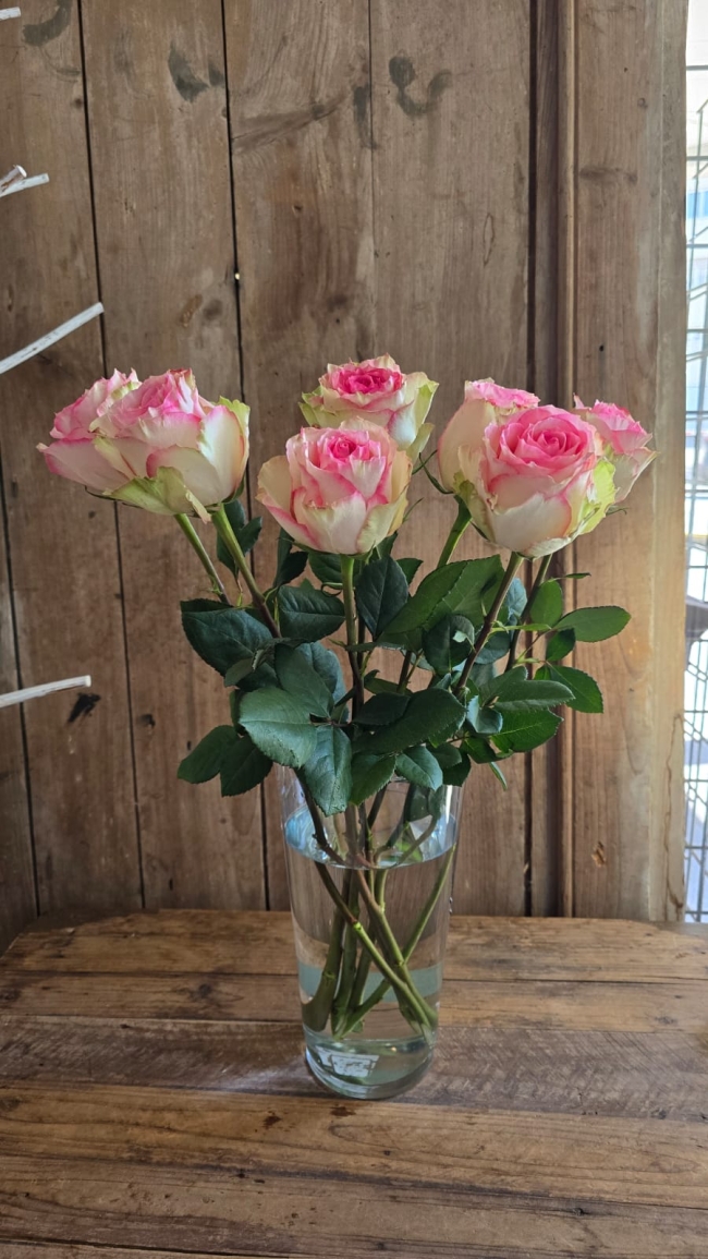 Bouquet de roses