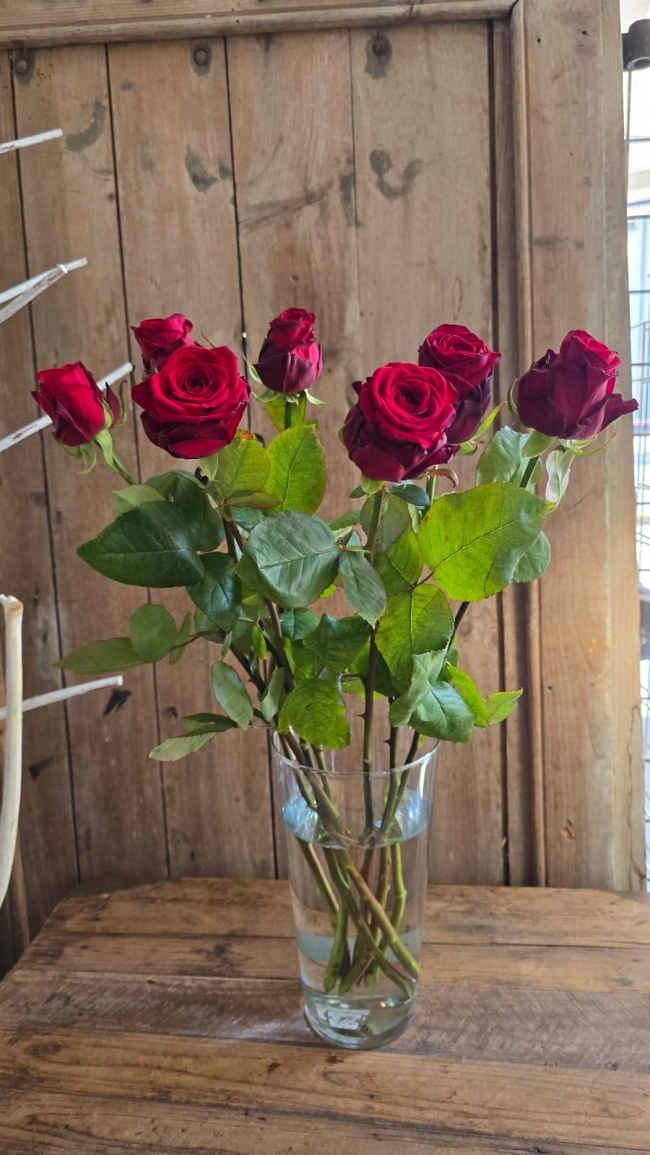 Bouquet de roses